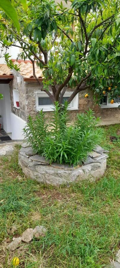 A Modern Farmhouse With Big Garden Trapeza  Bagian luar foto